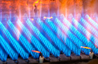 Tarn gas fired boilers